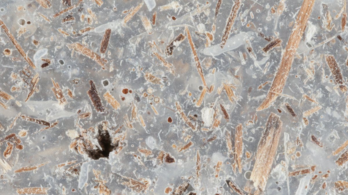 Mặt cắt gỗ nhựa WPC thể hiện cấu tạo