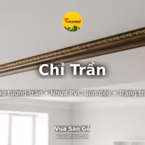 Chỉ Trần