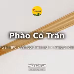 Phào Cổ Trần