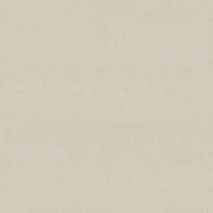 Giấy Dán Tường Giá Rẻ Albany 6811-2