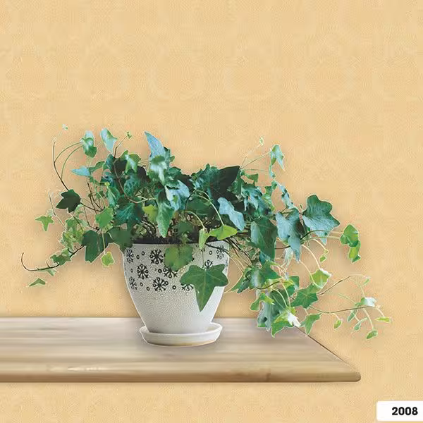 Vải Sợi Thủy Tinh Dán Tường Harmony Classic 2008 Vải Sợi Thủy Tinh Dán Tường Harmony Classic 2008