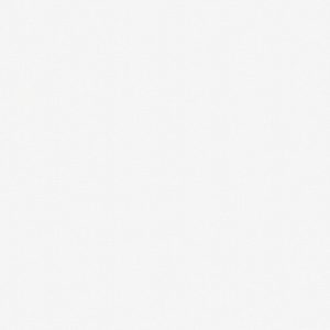 Giấy Dán Tường Hàn Quốc J Premium 2023 9403-1