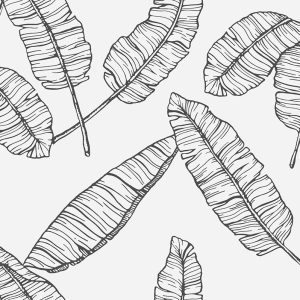 Giấy Dán Tường Giá Rẻ Muji House 96009-3