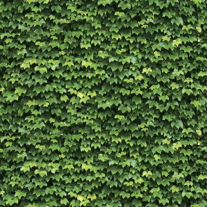 Giấy Dán Tường Hàn Quốc Natural 88422-1