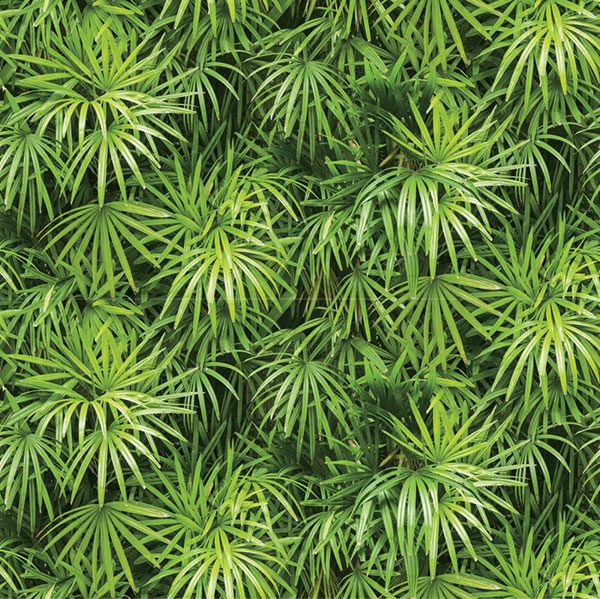 Giấy Dán Tường Hàn Quốc Natural 88425-1 Giấy Dán Tường Hàn Quốc Natural 88425-1