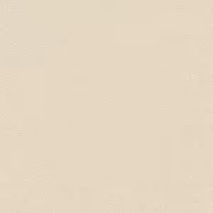 Giấy Dán Tường Giá Rẻ Rofy 1102-2