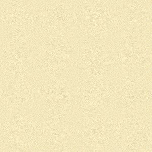 Giấy Dán Tường Giá Rẻ Rofy 1117-4