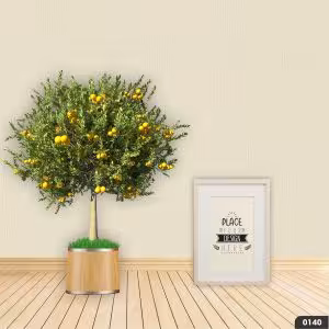 Vải Không Dệt Dán Tường Tango 0140