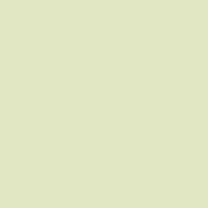 Giấy Dán Tường Hàn Quốc The View 3006-5