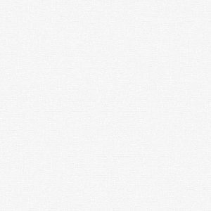 Giấy Dán Tường Giá Rẻ The View TWall 2024 9801-1