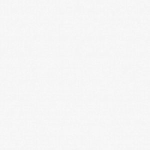 Giấy Dán Tường Giá Rẻ The View TWall 2024 9803-1