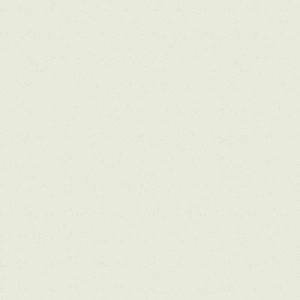 Giấy Dán Tường Giá Rẻ The View TWall 2024 9806-2