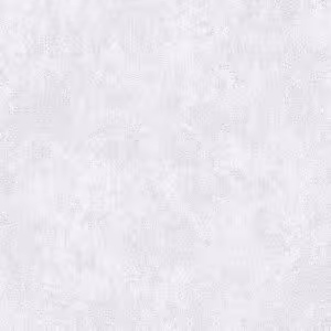 Giấy Dán Tường Giá Rẻ The View TWall 2024 9808-1