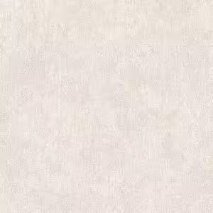 Giấy Dán Tường Giá Rẻ The View TWall 2024 9808-3
