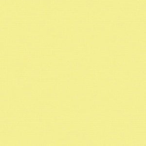 Giấy Dán Tường Giá Rẻ The View TWall 2024 9824-1