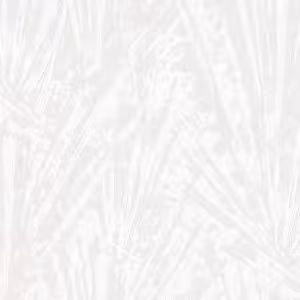 Giấy Dán Tường Giá Rẻ Zen 28234