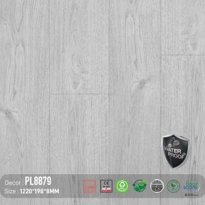 Sàn Gỗ Dream Lux PL8879