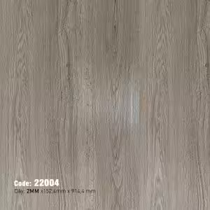Sàn Nhựa Dán Keo 2mm MSFloor 22004