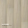 Sàn Nhựa Hèm Khóa SPC MSFLoor M-8005