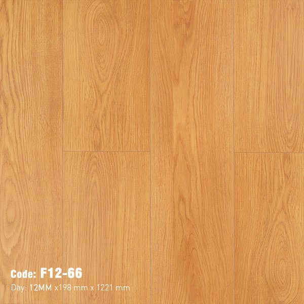 Sàn Gỗ Công Nghiệp Nam Việt F12-66 Sàn Gỗ Công Nghiệp Nam Việt F12-66