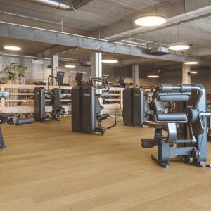 Sàn Gỗ Công Nghiệp Pergo Narvik Pro X 05191