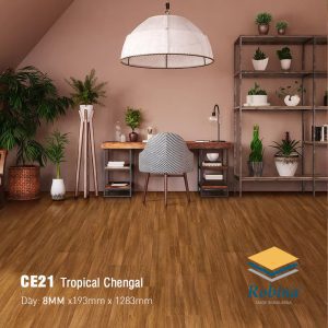 Sàn Gỗ Công Nghiệp Robina 8mm Bản Lớn CE21
