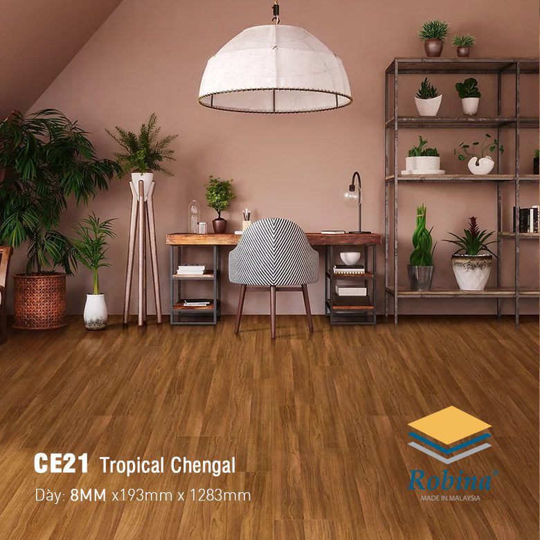Sàn Gỗ Công Nghiệp Robina 8mm Bản Lớn CE21 Sàn Gỗ Công Nghiệp Robina 8mm Bản Lớn CE21