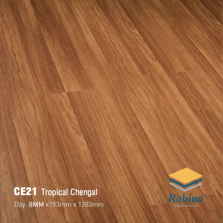 Sàn Gỗ Công Nghiệp Robina 8mm Bản Lớn CE21 Sàn Gỗ Công Nghiệp Robina 8mm Bản Lớn CE21
