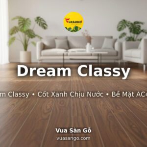 Dream Classy