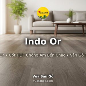 Indo Or