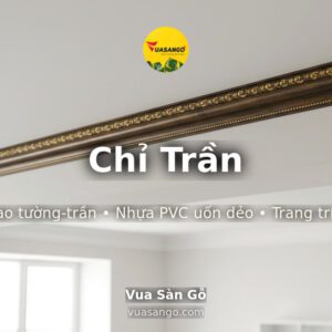 Chỉ Trần