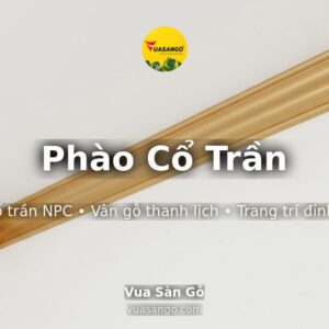 Phào Cổ Trần