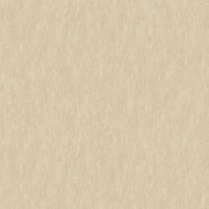 Giấy Dán Tường Hàn Quốc Casabene 2723-2