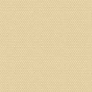 Giấy Dán Tường Hàn Quốc Casabene 2726-4