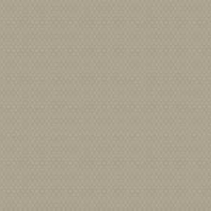 Giấy Dán Tường Hàn Quốc Casabene 2726-5