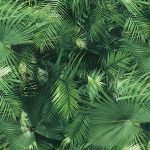 Giấy dán tường Hàn Quốc Galaxy 7833-1