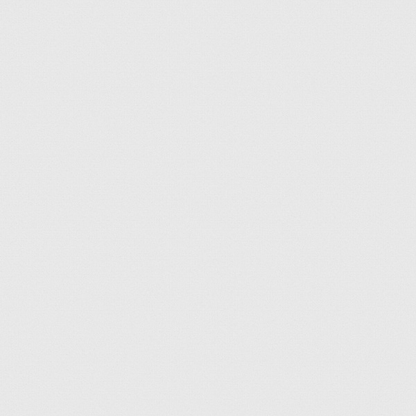 Giấy Dán Tường Hàn Quốc J Premium 2023