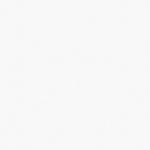 Giấy Dán Tường Hàn Quốc J Premium 2023 9443-2