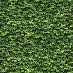 Giấy Dán Tường Hàn Quốc Natural 88422-1