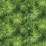 Giấy Dán Tường Hàn Quốc Natural 88425-1