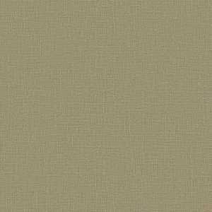 Giấy Dán Tường Giá Rẻ Shades 751503