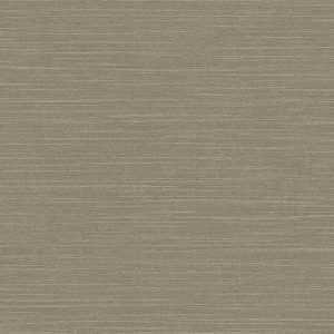 Giấy Dán Tường Giá Rẻ V-Concept 7933-2