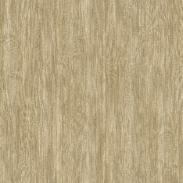 Giấy Dán Tường Giá Rẻ 2023