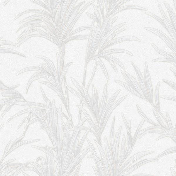 Giấy Dán Tường Giá Rẻ Zen