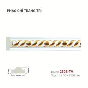 Phào Khung Tranh 2503-TV