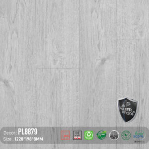 Sàn Gỗ Dream Lux 8mm PL8879